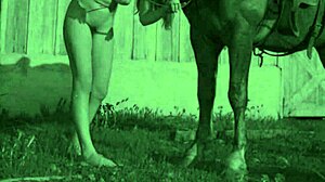 ¡Un caballo peludo es follado en un porno vintage tabú!