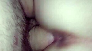 Cupluri tinere și excitate joacă într-un videoclip porno făcut acasă